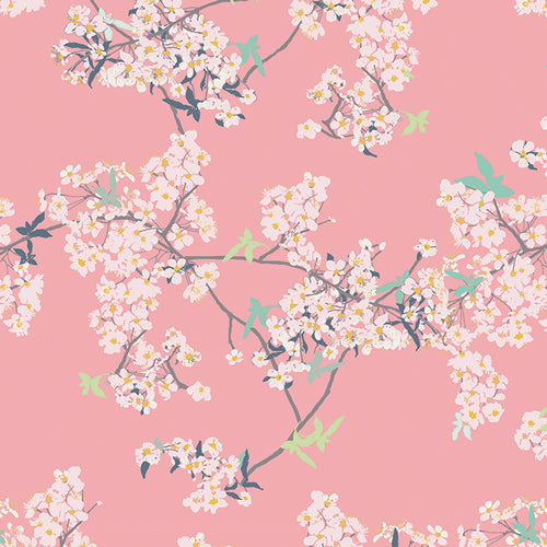 Chickadee Cover All Yinghua Cherry Blossoms on Pink